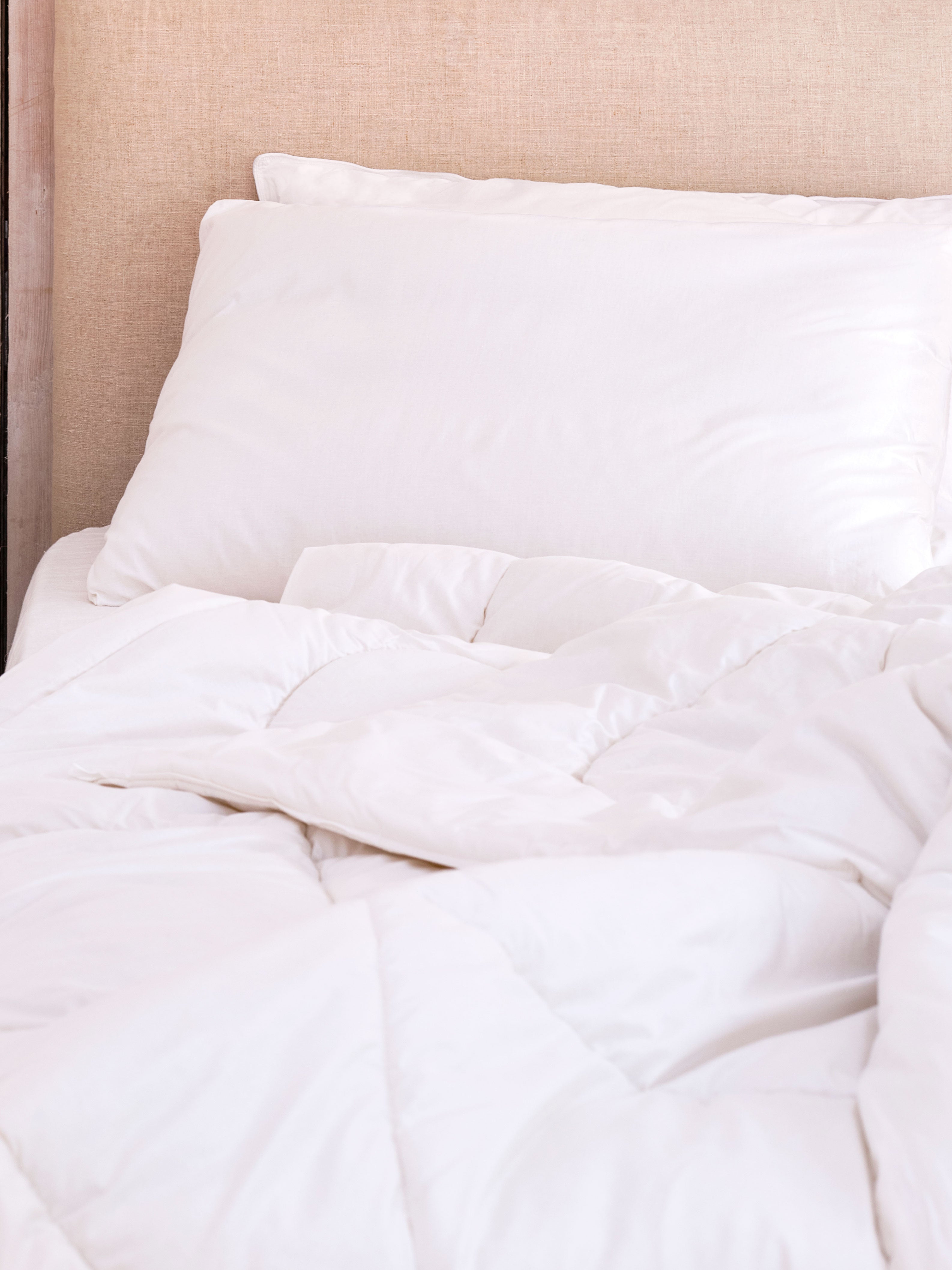 Wool Bed Pillow Collection Essential Style 2