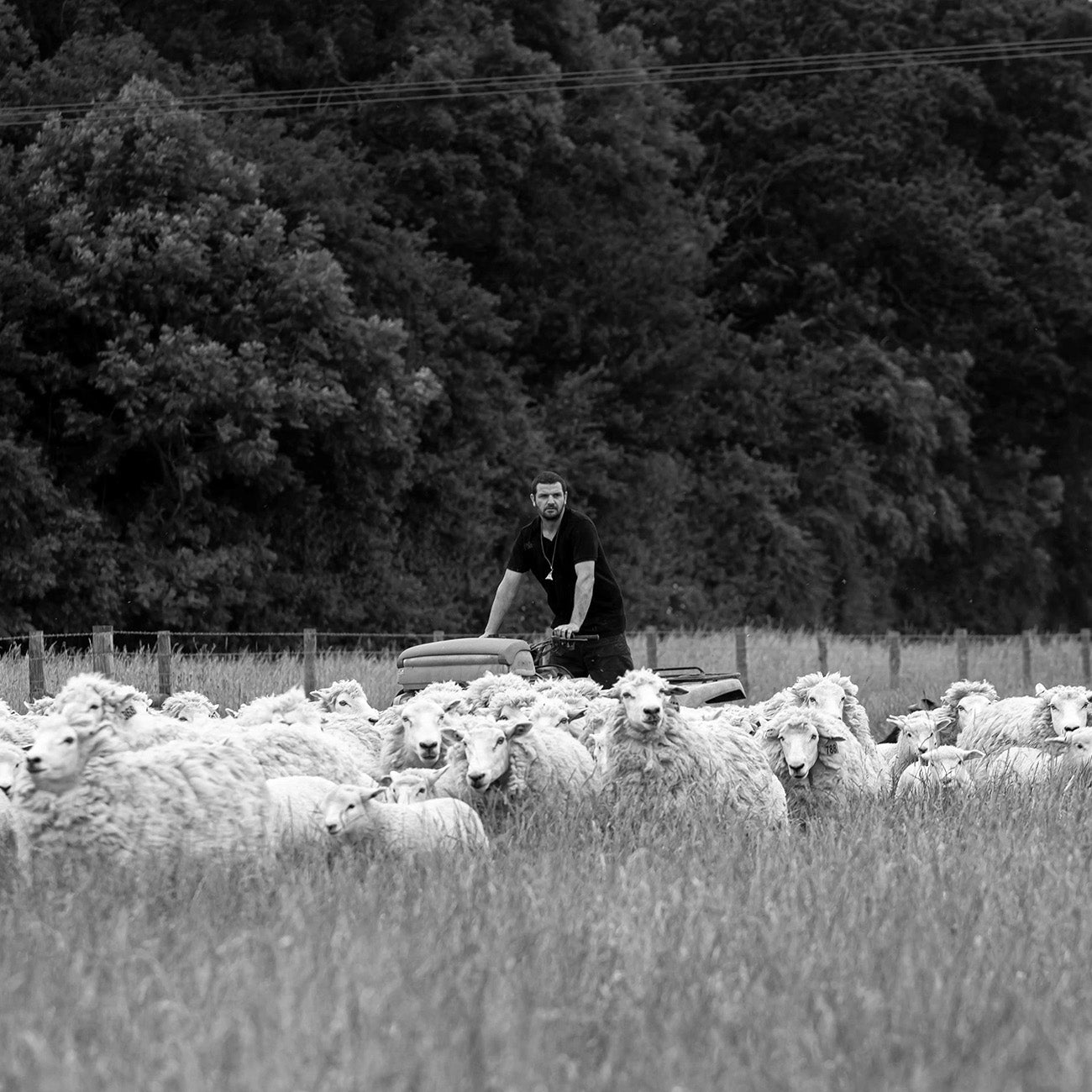 Wool Mattress Collection Essential Essential Style 2 - Image 4